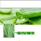 Oil Control Blackhead Shrink Pore Repair